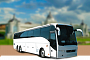 Автобусы